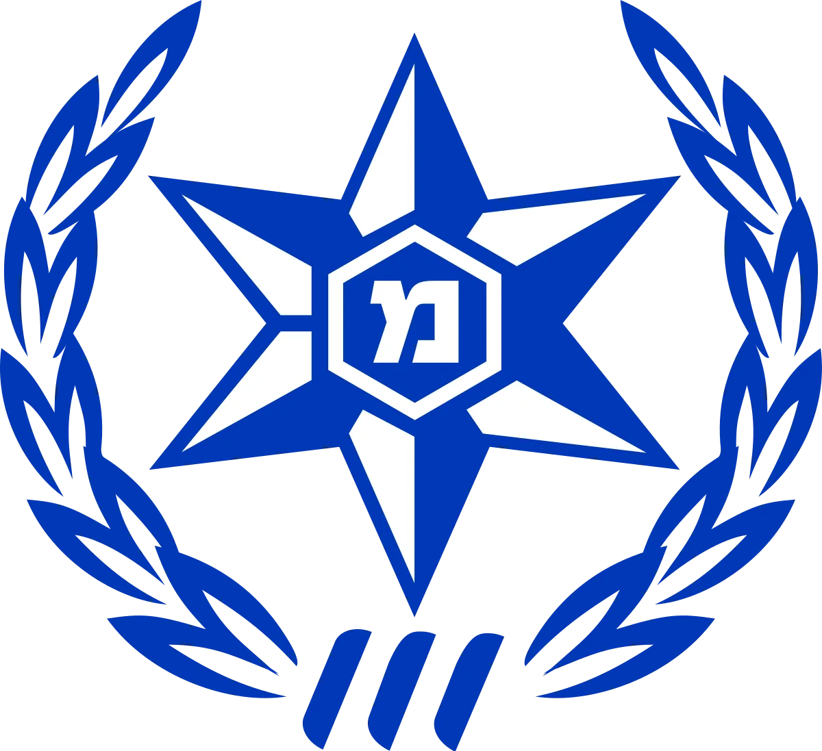 משטרת ישראל